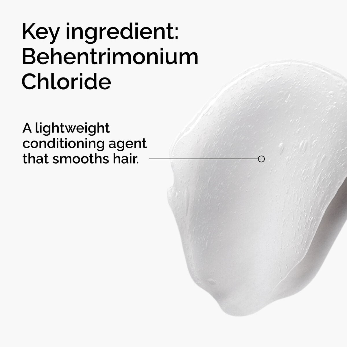 behentrimonium-chloride-2-conditioner-u4 FY25-D41247-ORD-Web-PDP-BTC-1x1-EN-2a.jpg